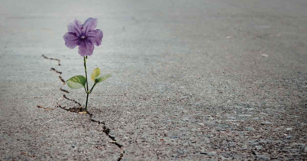 Mudança de Comportamento: O Hábito da Resiliência na Matemática Mudança de Comportamento: O Hábito da Resiliência na Matemática